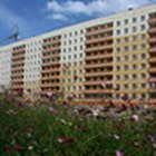 В 2011 году продажи квартир компании ЦДС выросли на 80%
